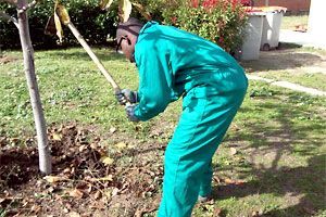 taller jardineria